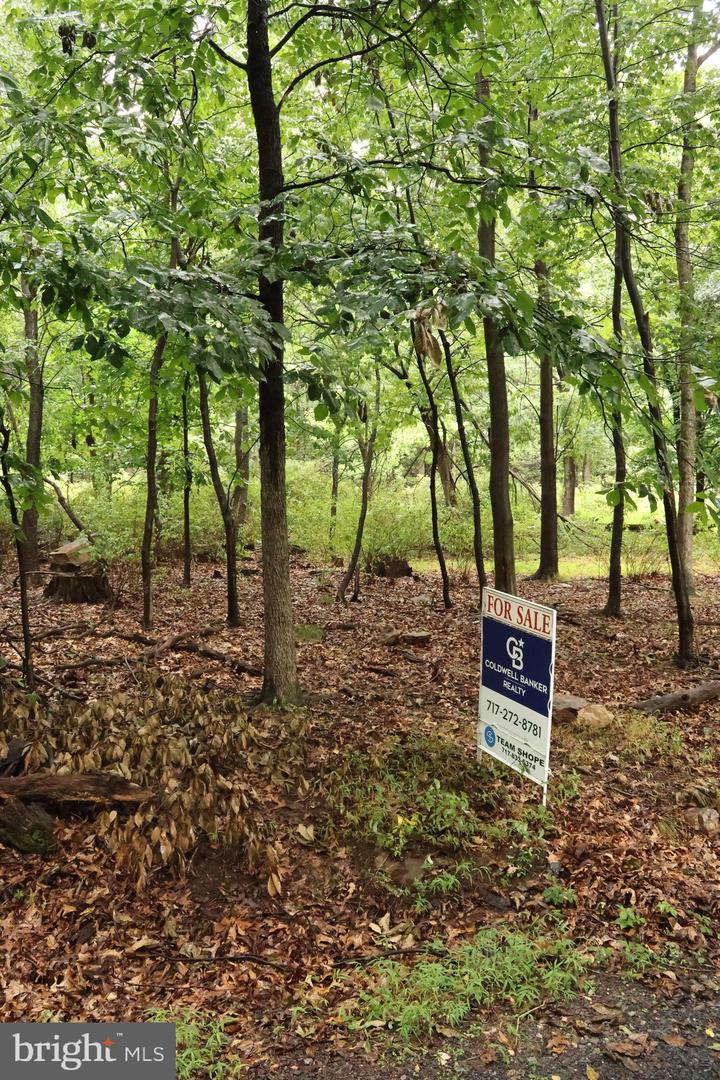 Trail Ln Property Photo 14