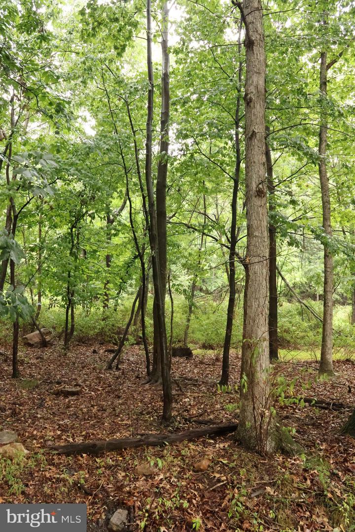 Trail Ln Property Photo 16
