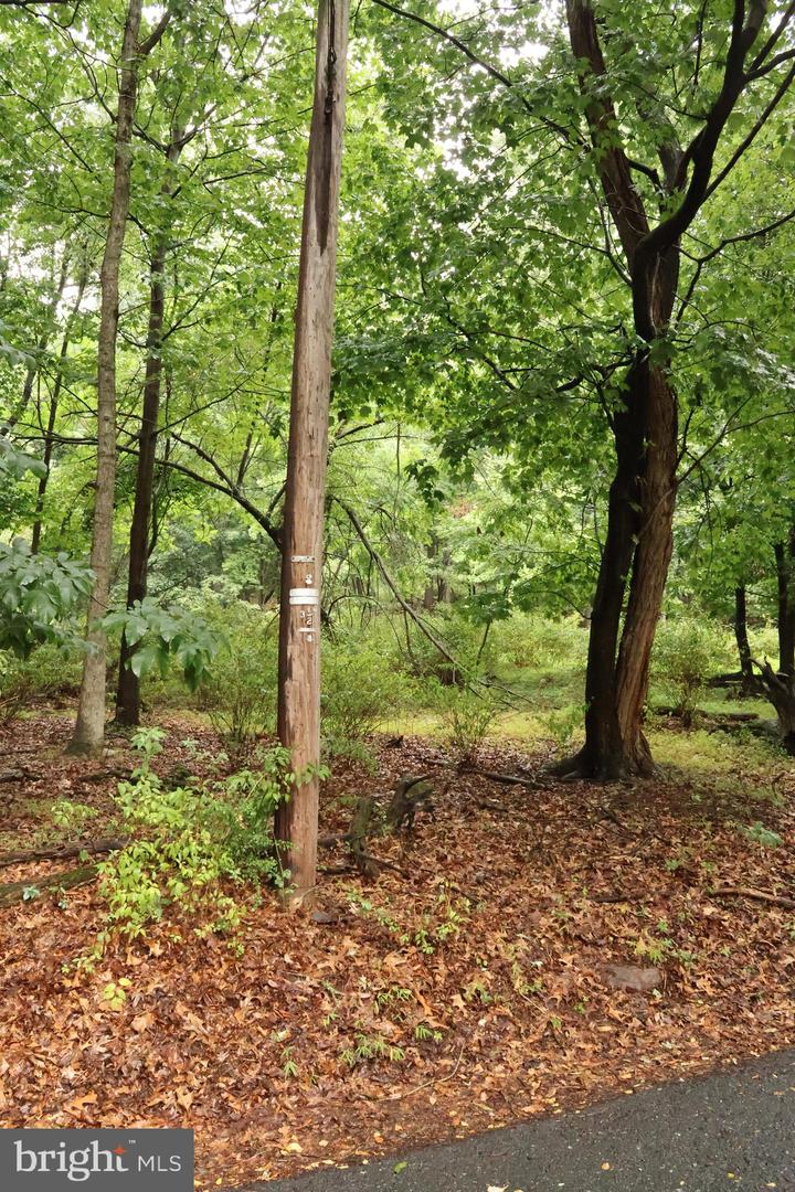 Trail Ln Property Photo 17