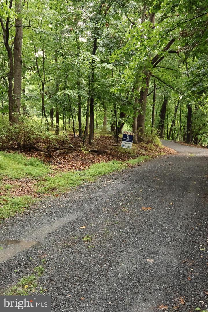 Trail Ln Property Photo 18
