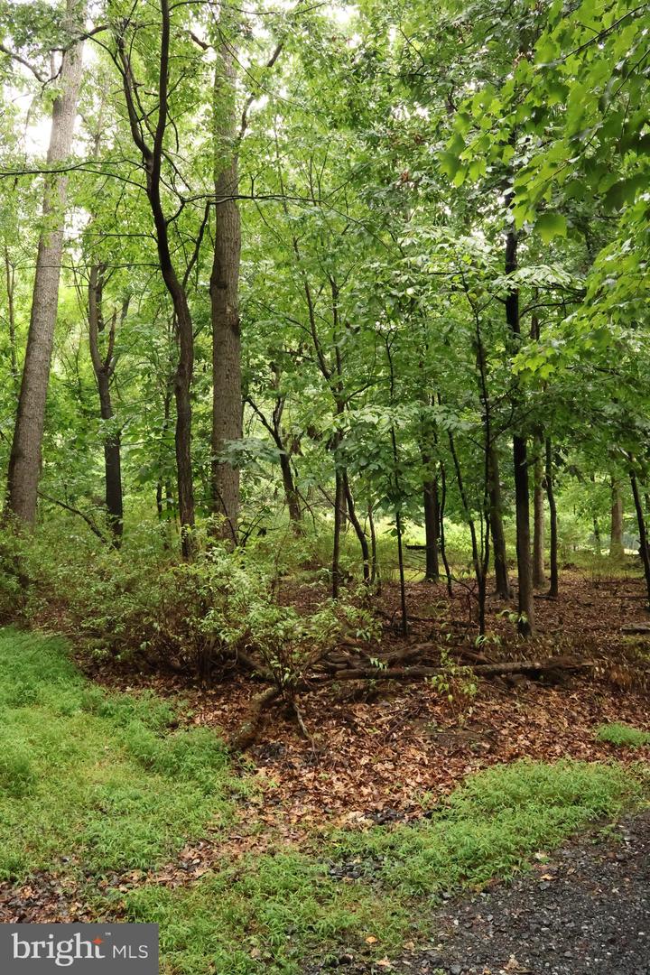 Trail Ln Property Photo 19