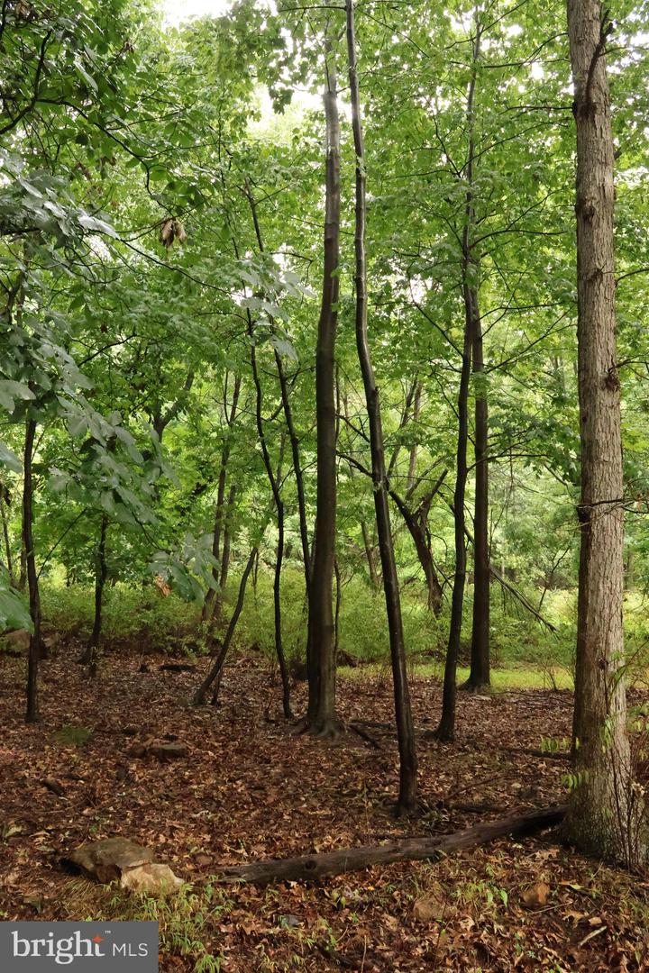 Trail Ln Property Photo 20
