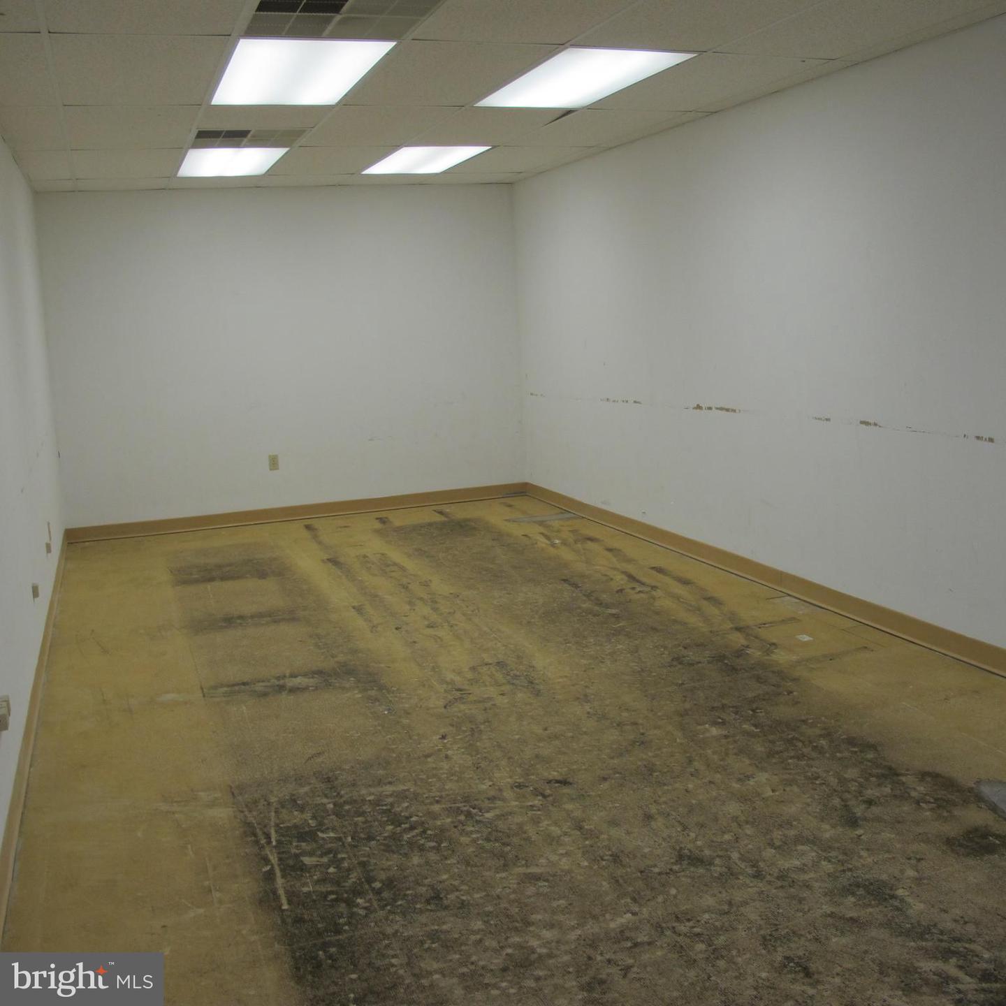 5020 Ritter Rd #203 Property Photo 6