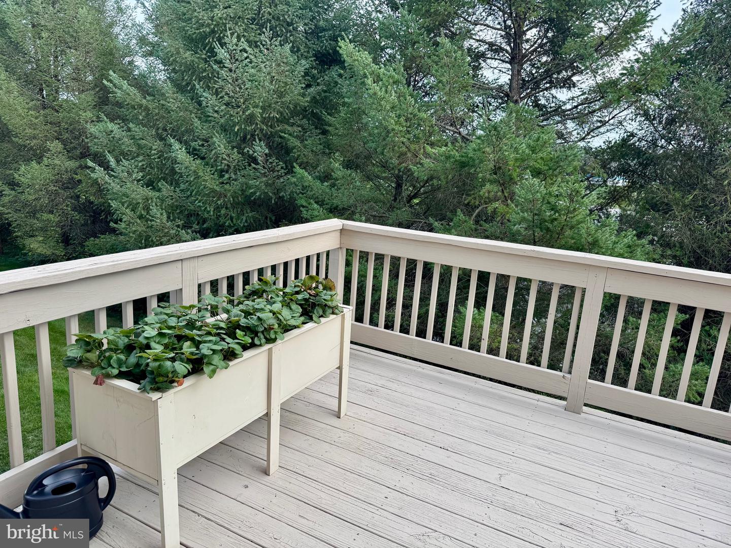 6360 Galleon Dr Property Photo 16