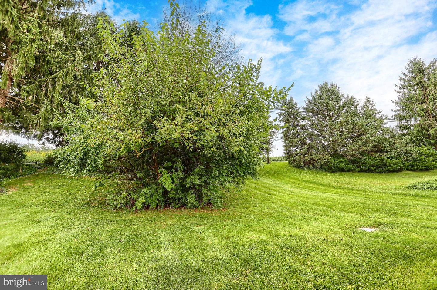 1 Thornhill Ct Property Photo 20