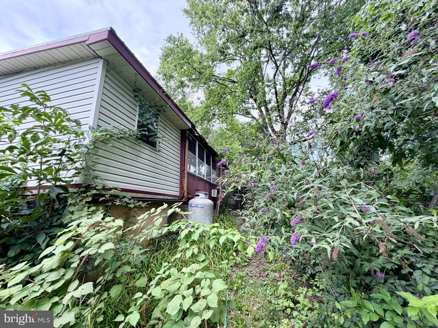 527 Walnut St Property Photo 3