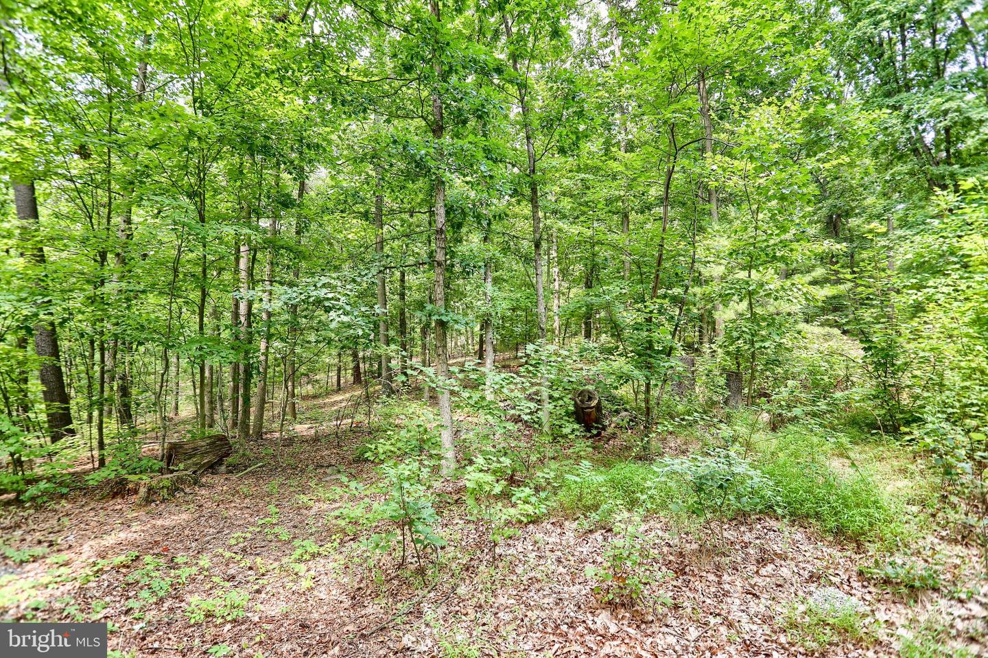 55 Horseshoe Rd Property Photo 45