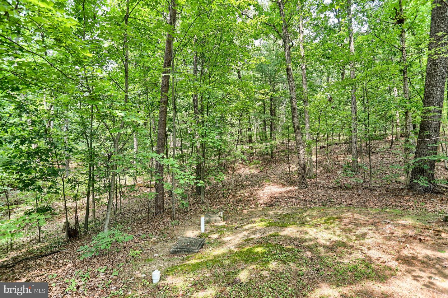 55 Horseshoe Rd Property Photo 48