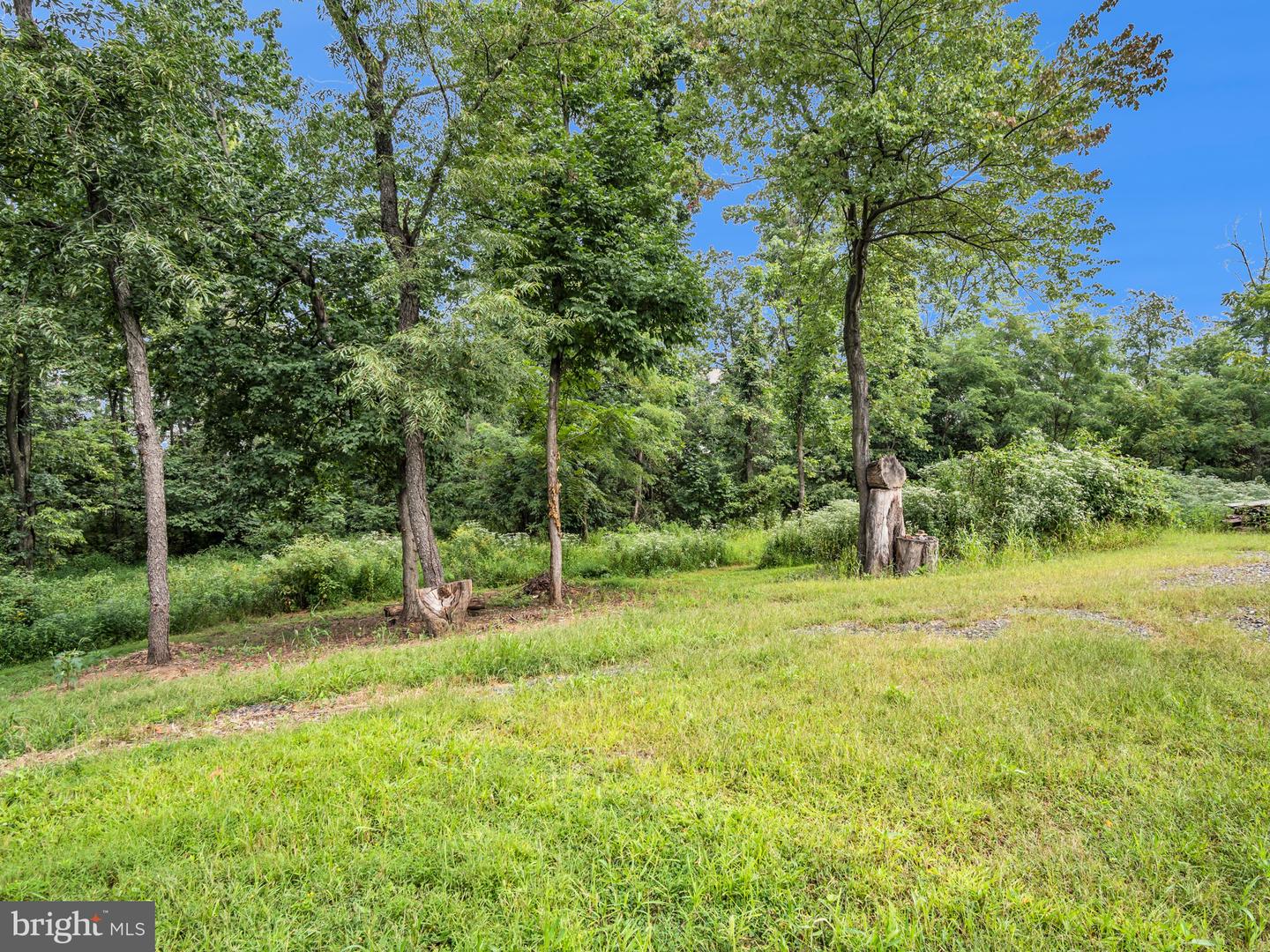 4460 Valley Rd Property Photo 18