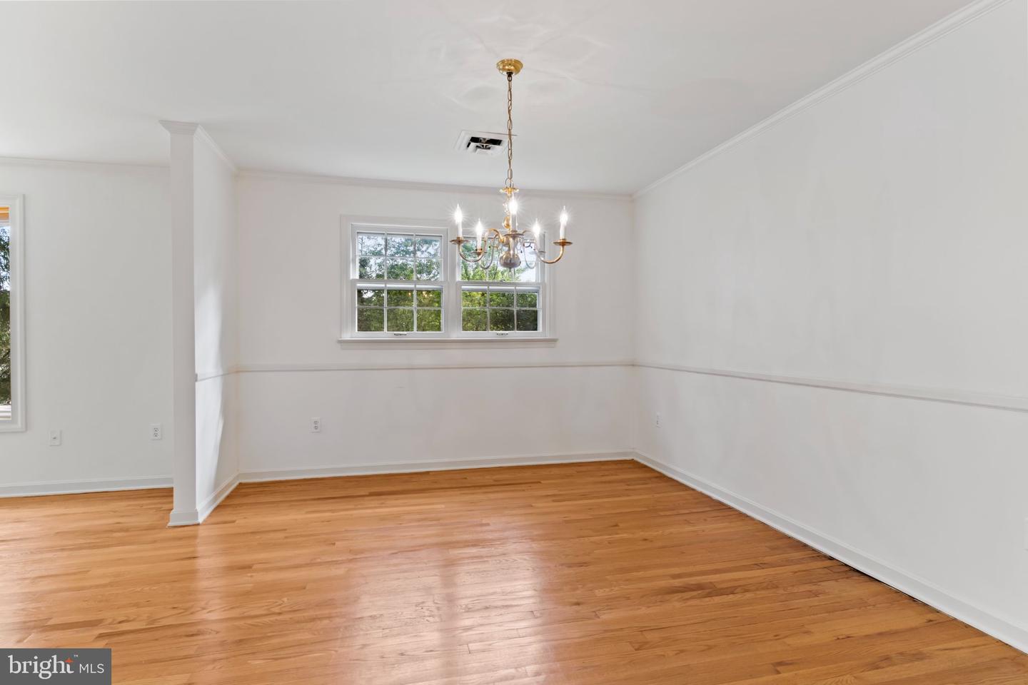 811 Mandy Ln Property Photo 6