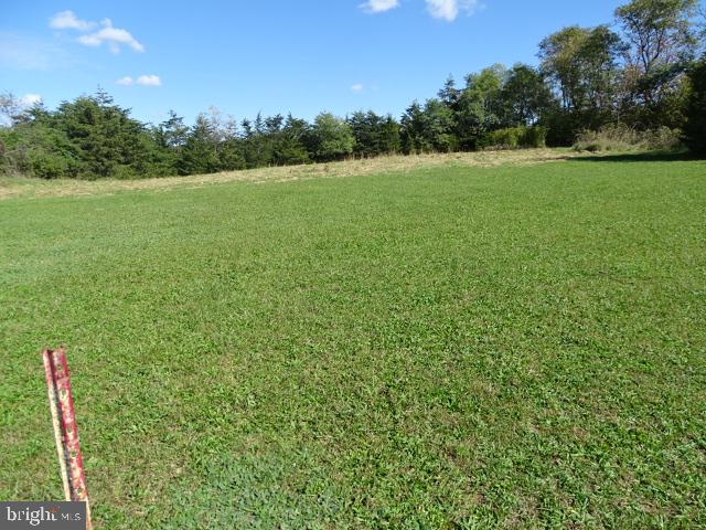 1541 Mcclures Gap Rd Property Photo 8