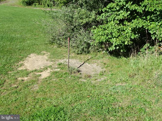 1541 Mcclures Gap Rd Property Photo 9