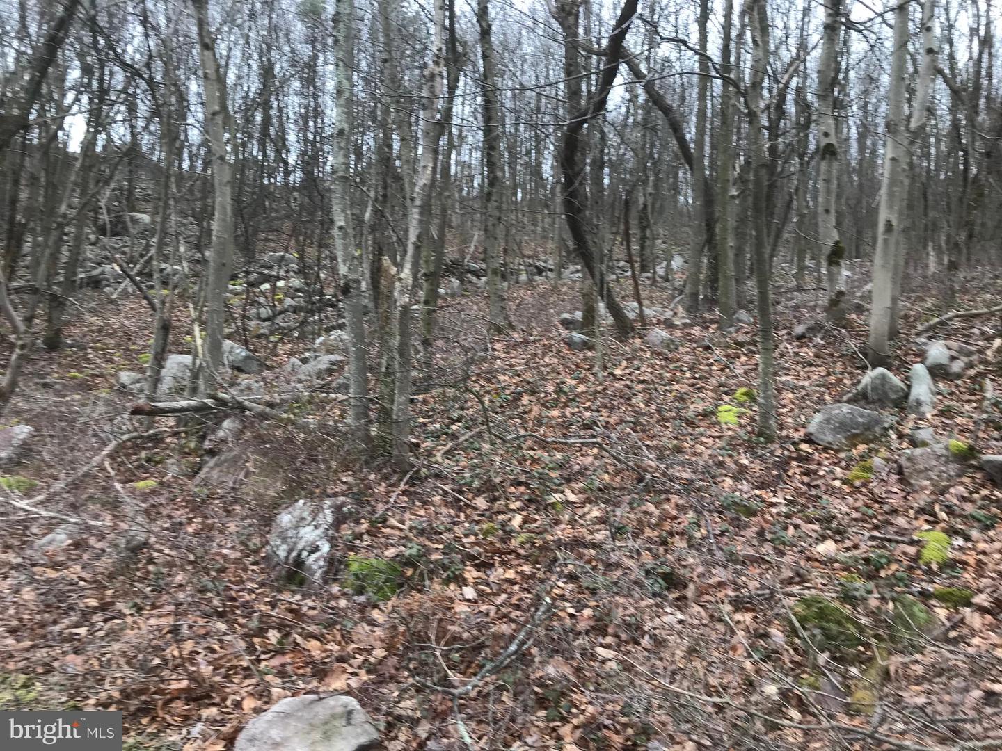 Lot# 367 & 368 Sparrow Ln Property Photo 2