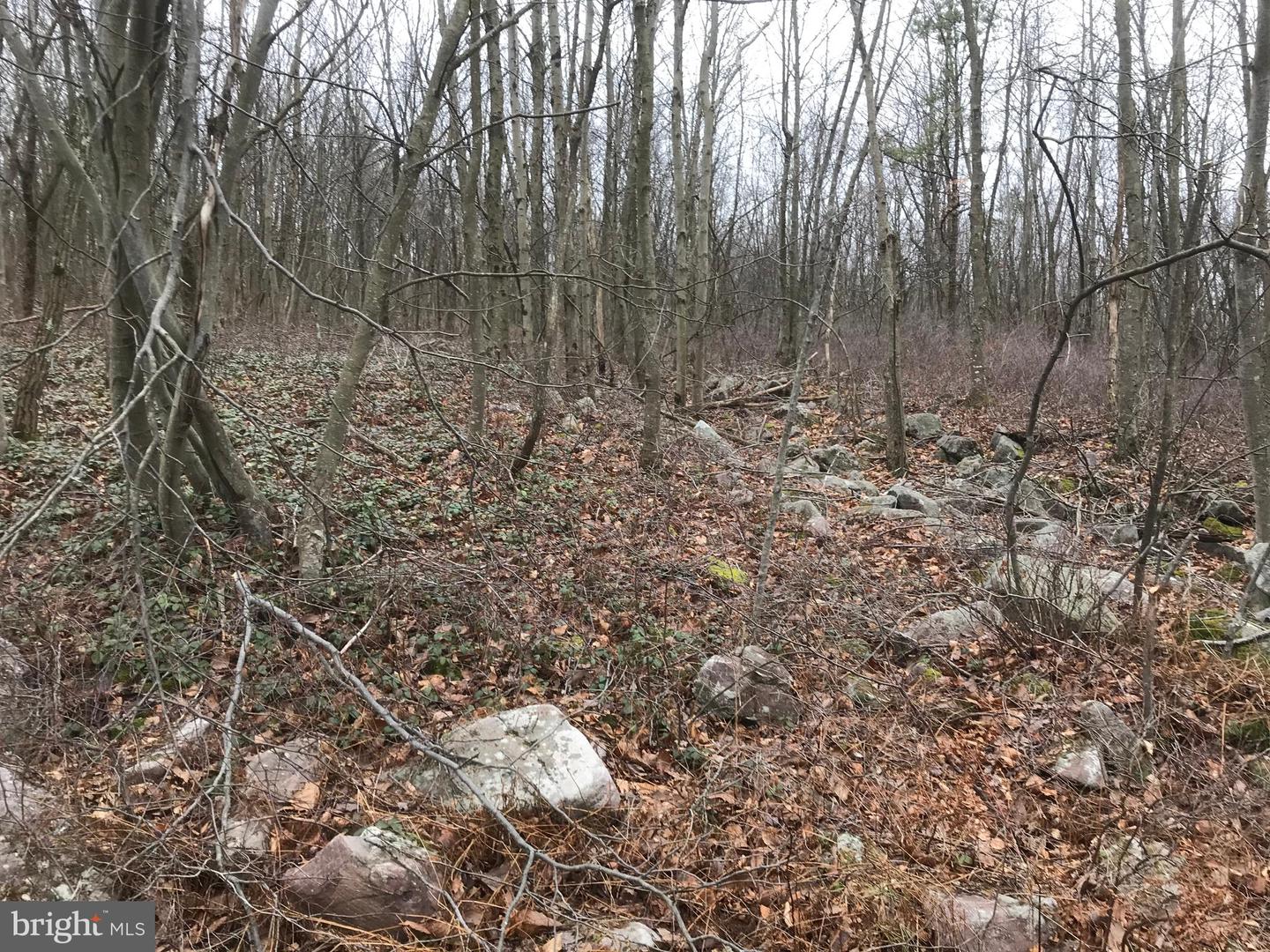 Lot# 367 & 368 Sparrow Ln Property Photo 3
