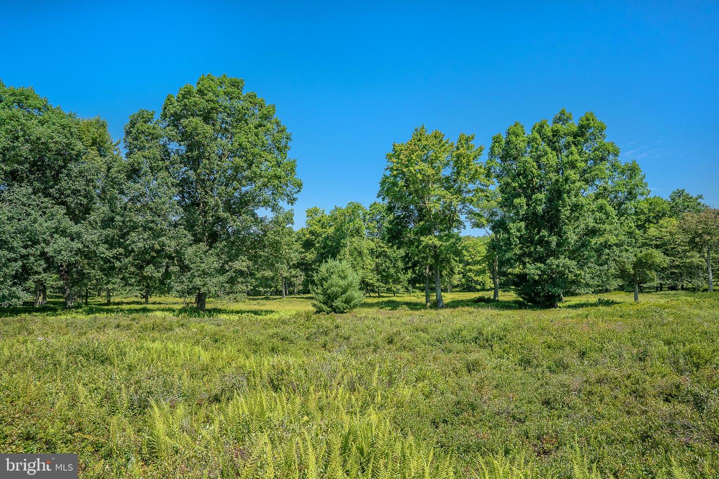 614 Graystones Jeras Rd Lot P-3 Property Photo 4