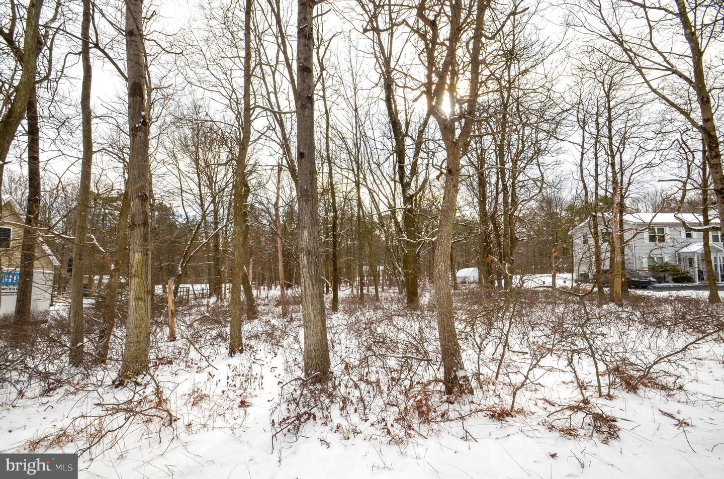 0 Stony Mountain Rd Property Photo 2