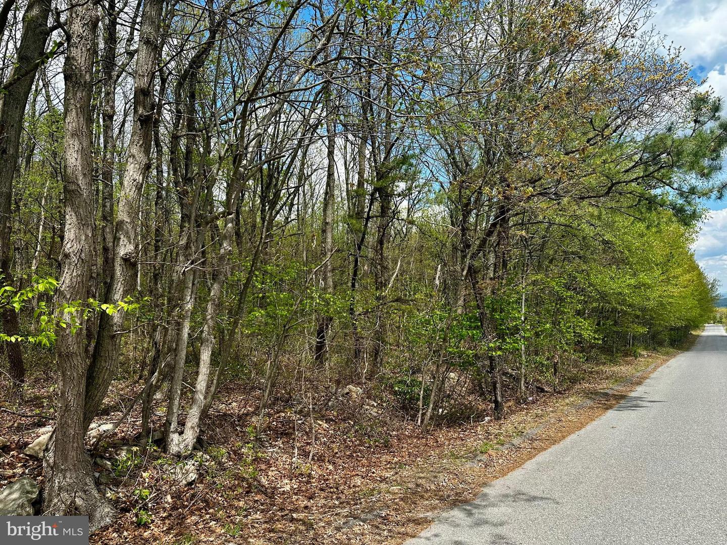 E MOUNTAIN TOP RD Property Photo 1