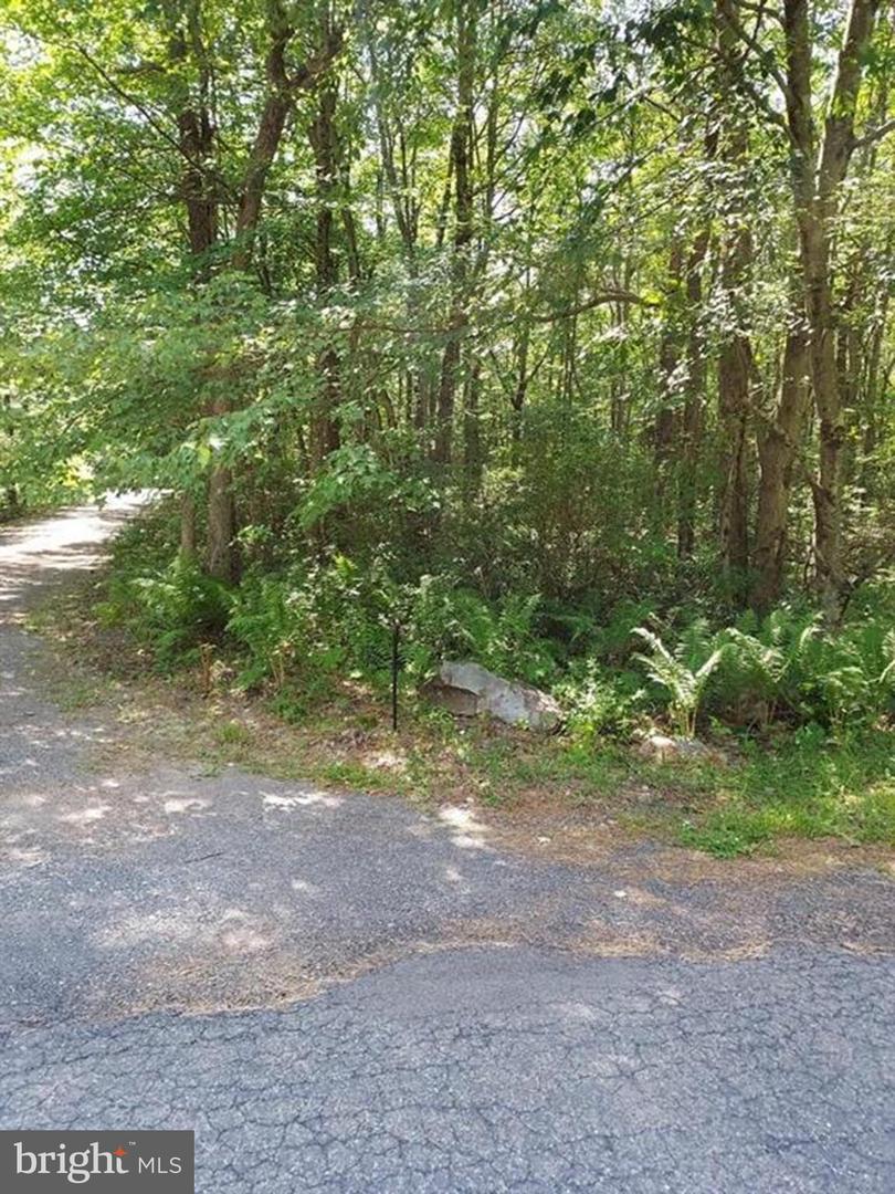 N Sycamore Ln #b193 & B194 Property Photo 1