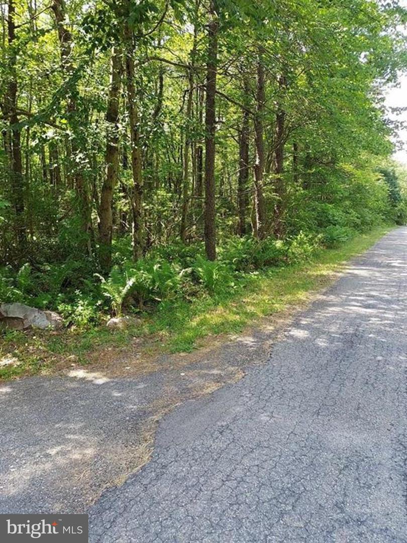 N Sycamore Ln #b193 & B194 Property Photo 2
