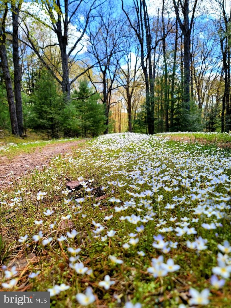 614 Graystones Jeras Rd Lot H-13 Property Photo 2