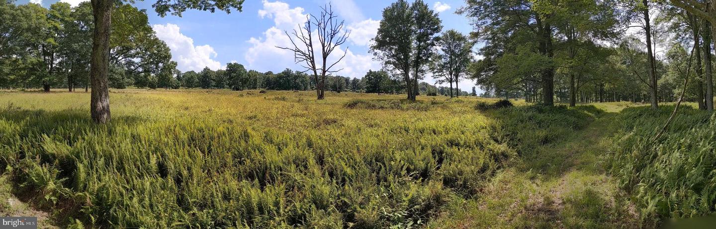 614 Graystones Jeras Rd Lot P-9 Property Photo 10