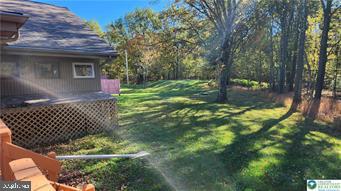 874 Route 903 Property Photo 8