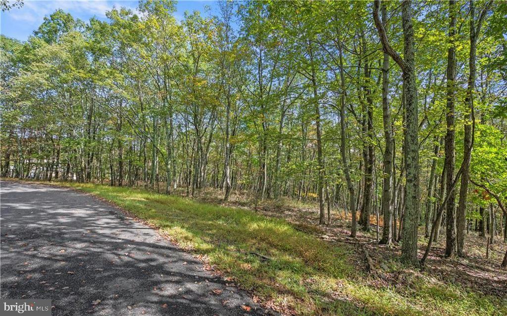0 STONE RIDGE RD