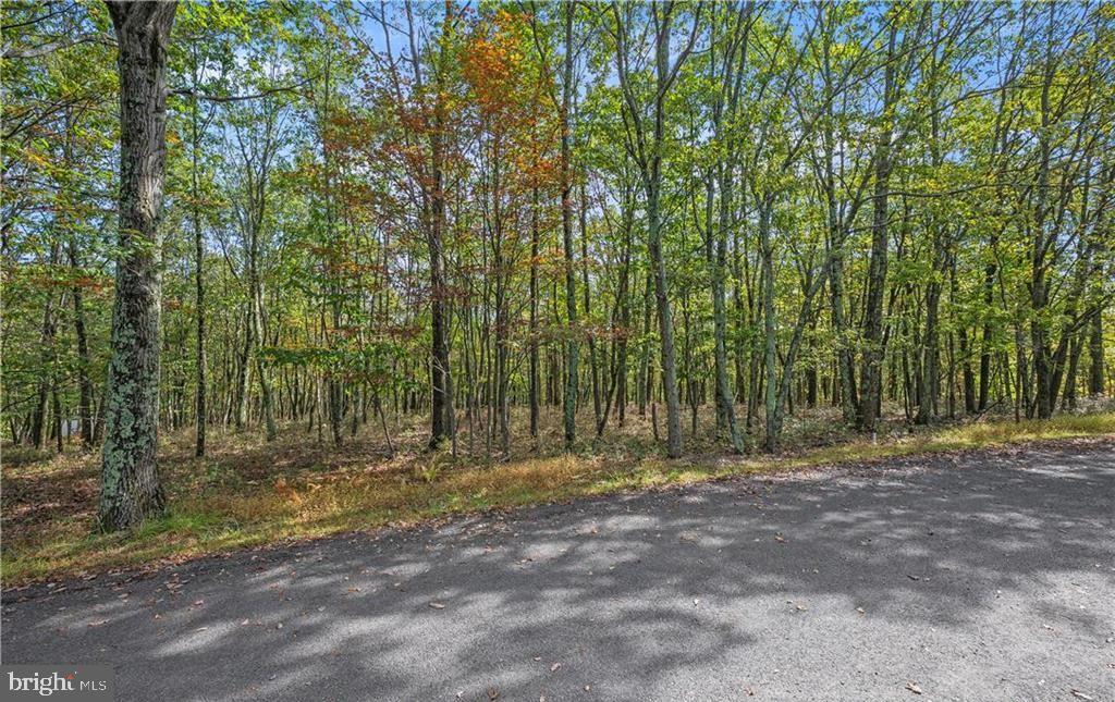 0 Stone Ridge Rd Property Photo 2