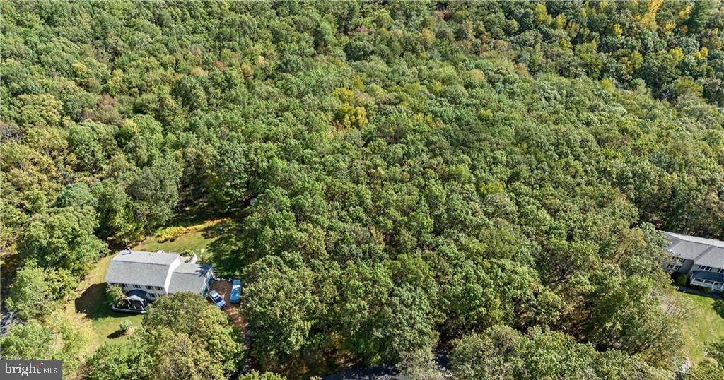 0 Stone Ridge Rd Property Photo 3