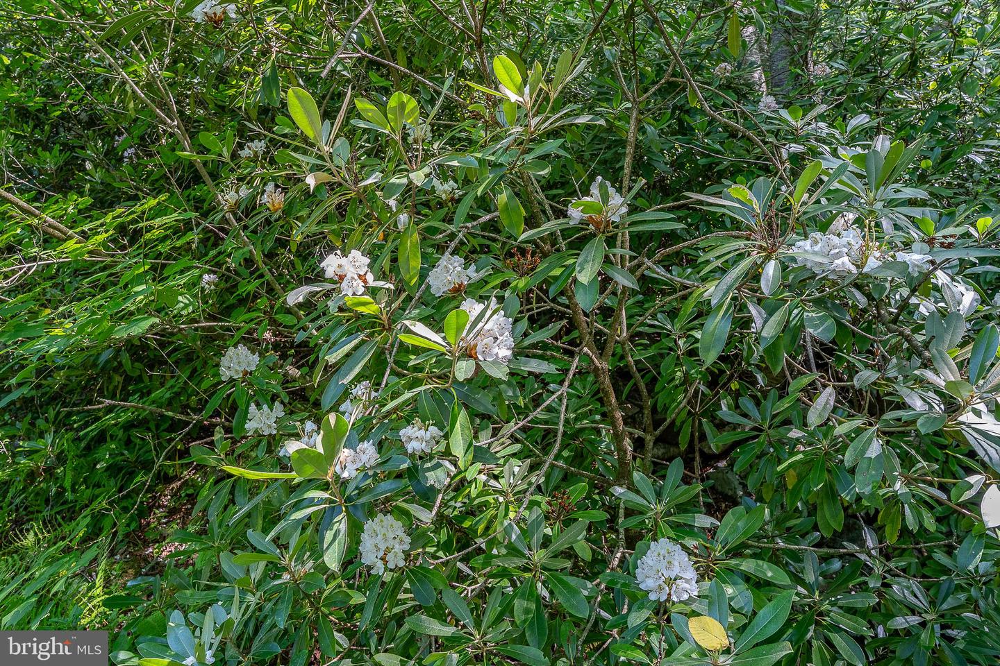 614 Graystones Jeras Rd Lot H-1 Property Photo 20