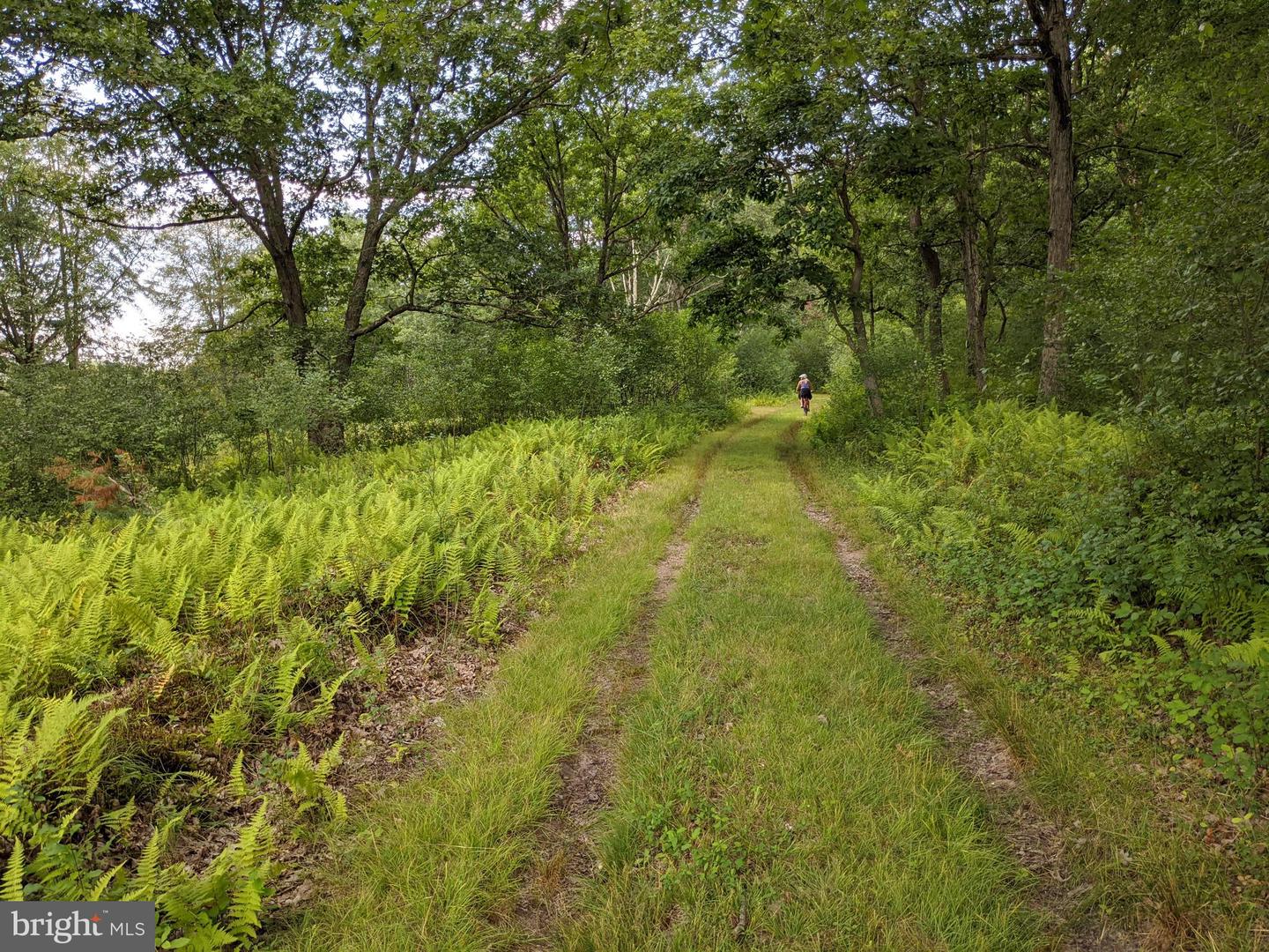 614 Graystones Jeras Rd Lot H-1 Property Photo 23