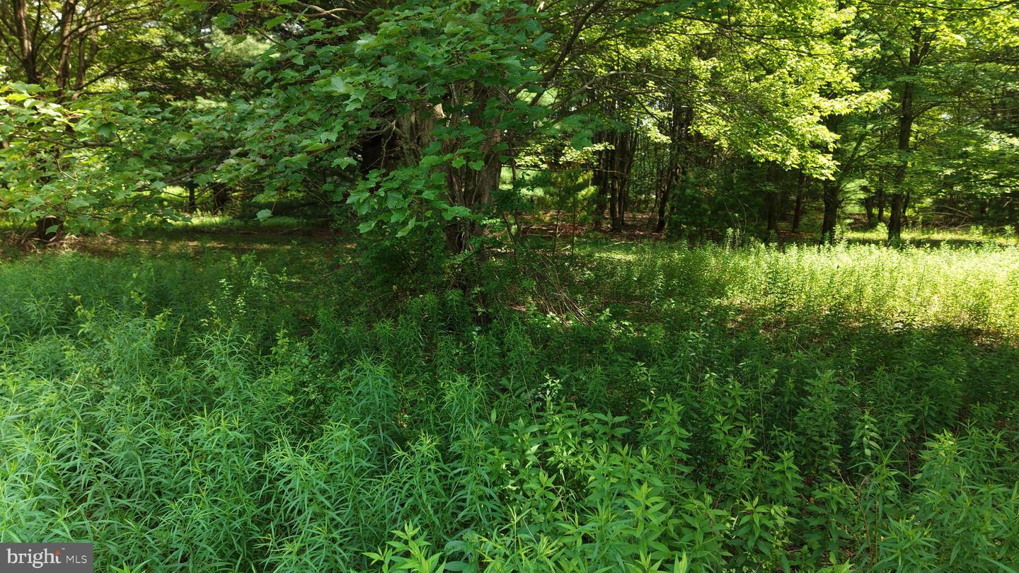 24-lot A Hummingbird Dr Property Photo 20