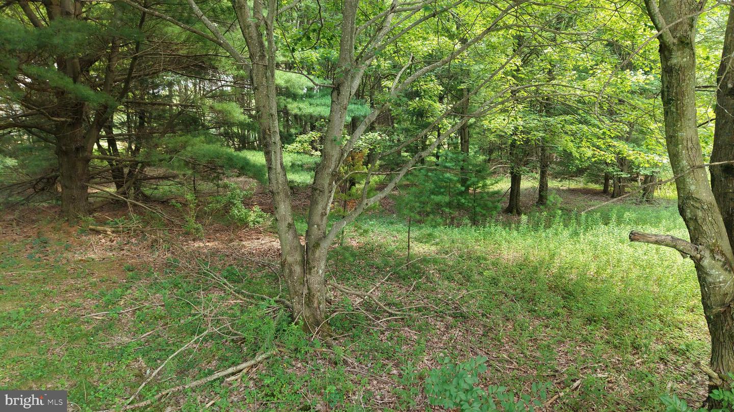 24-lot A Hummingbird Dr Property Photo 21