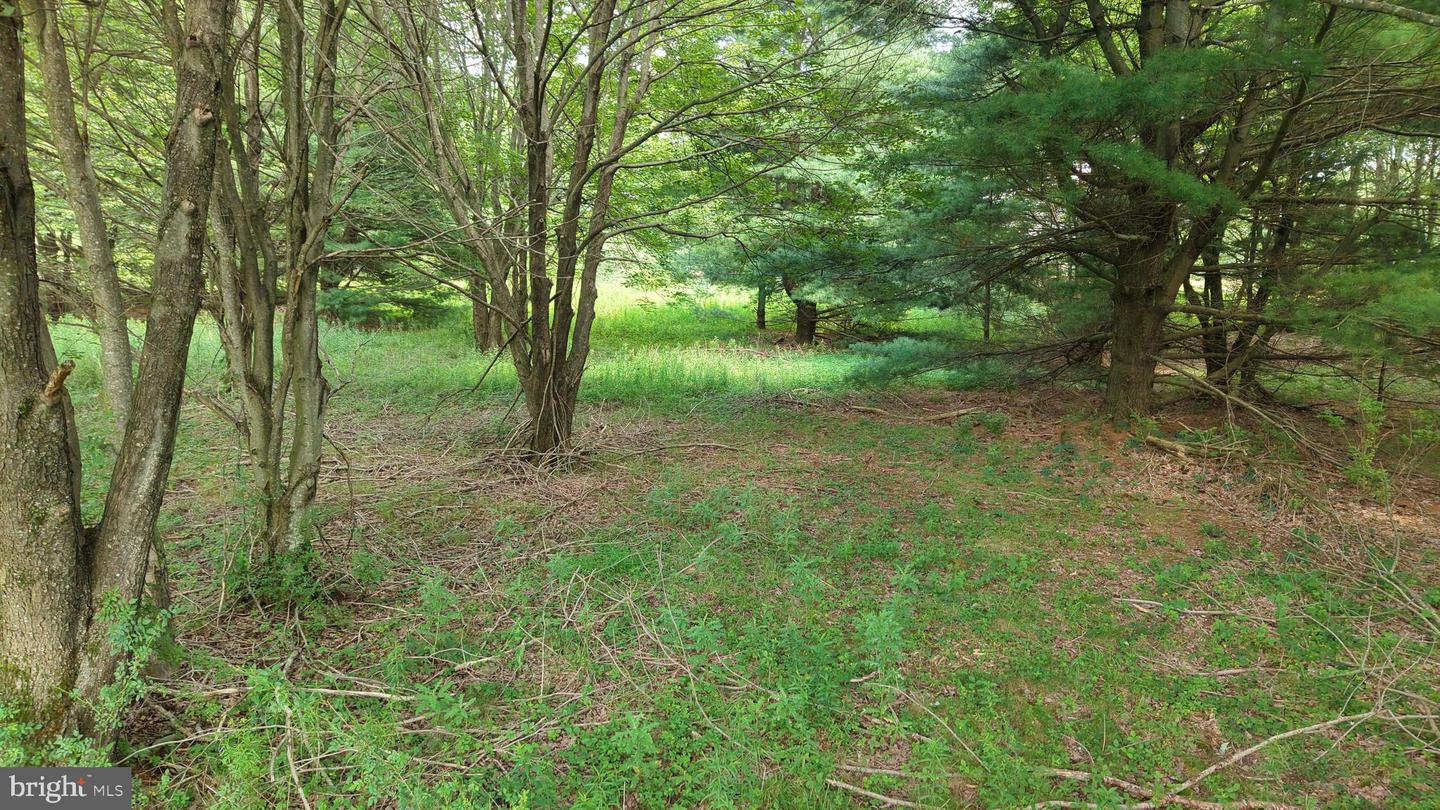 24-lot A Hummingbird Dr Property Photo 22
