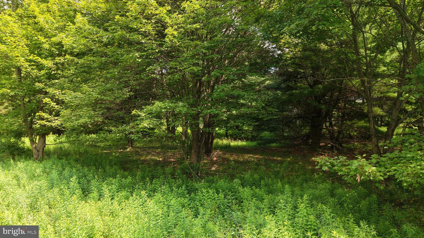 24-lot A Hummingbird Dr Property Photo 23