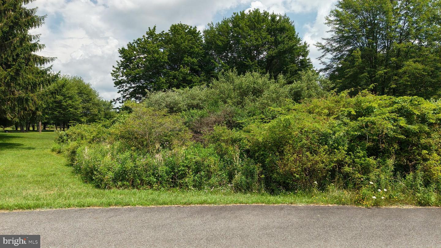 24-lot A Hummingbird Dr Property Photo 24