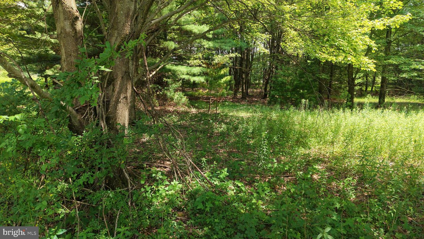 24-lot A Hummingbird Dr Property Photo 26