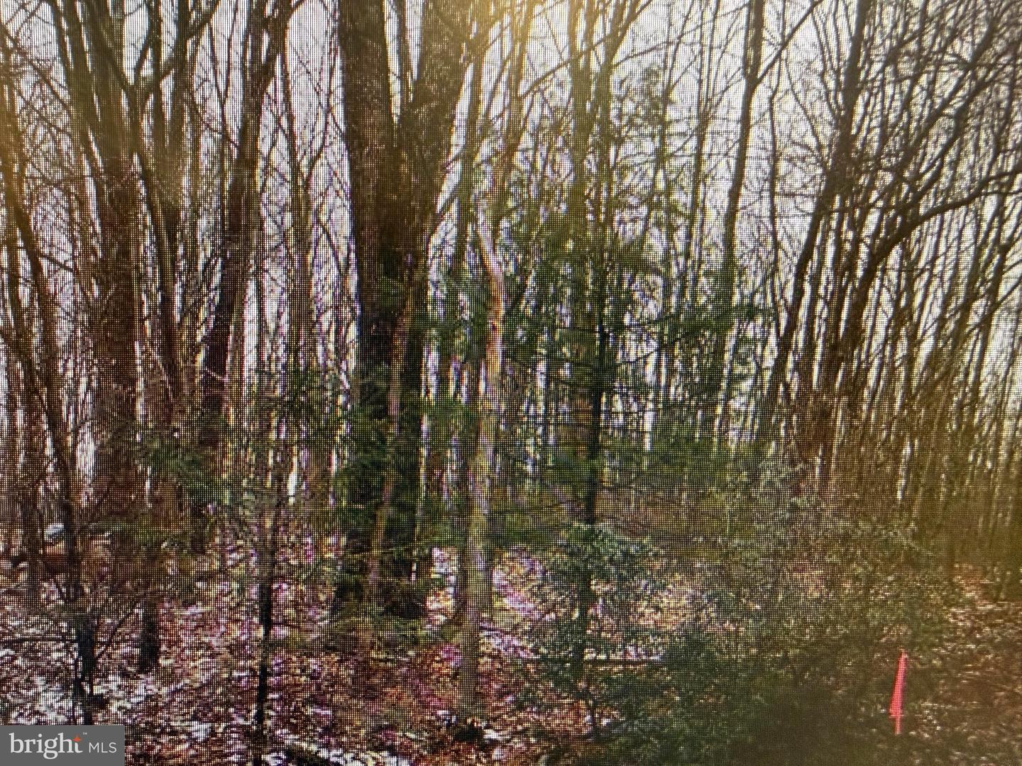 Black Bear Pass Property Photo 1