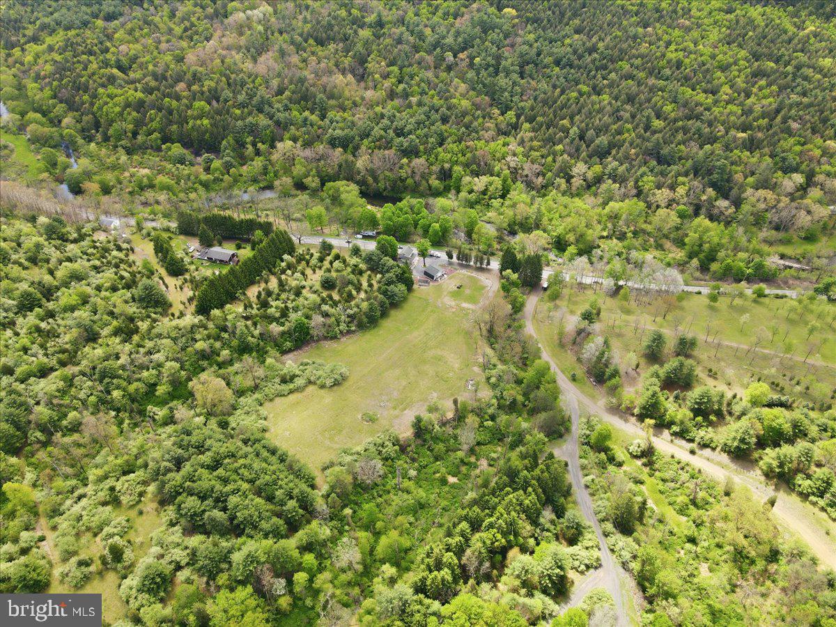 4880 Little Gap Rd Property Photo 93