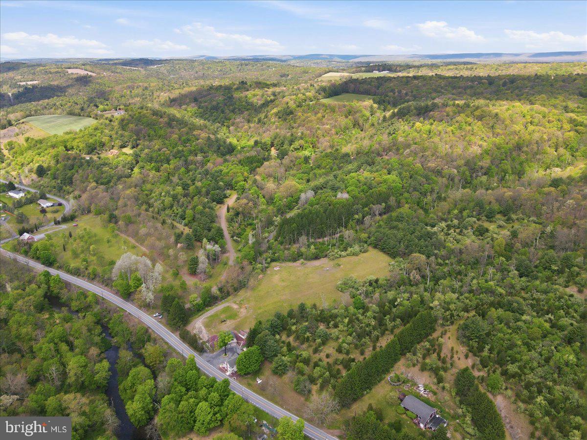 4880 Little Gap Rd Property Photo 95