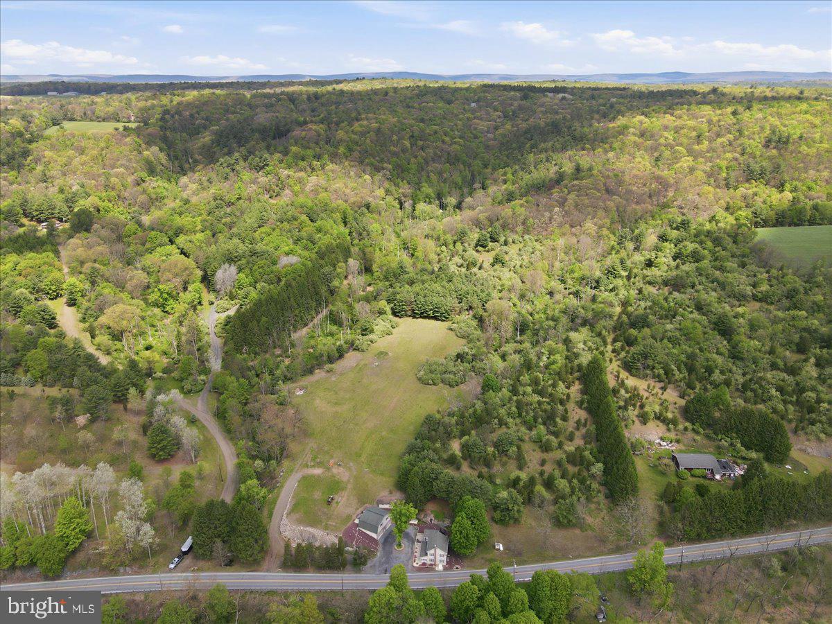 4880 Little Gap Rd Property Photo 96