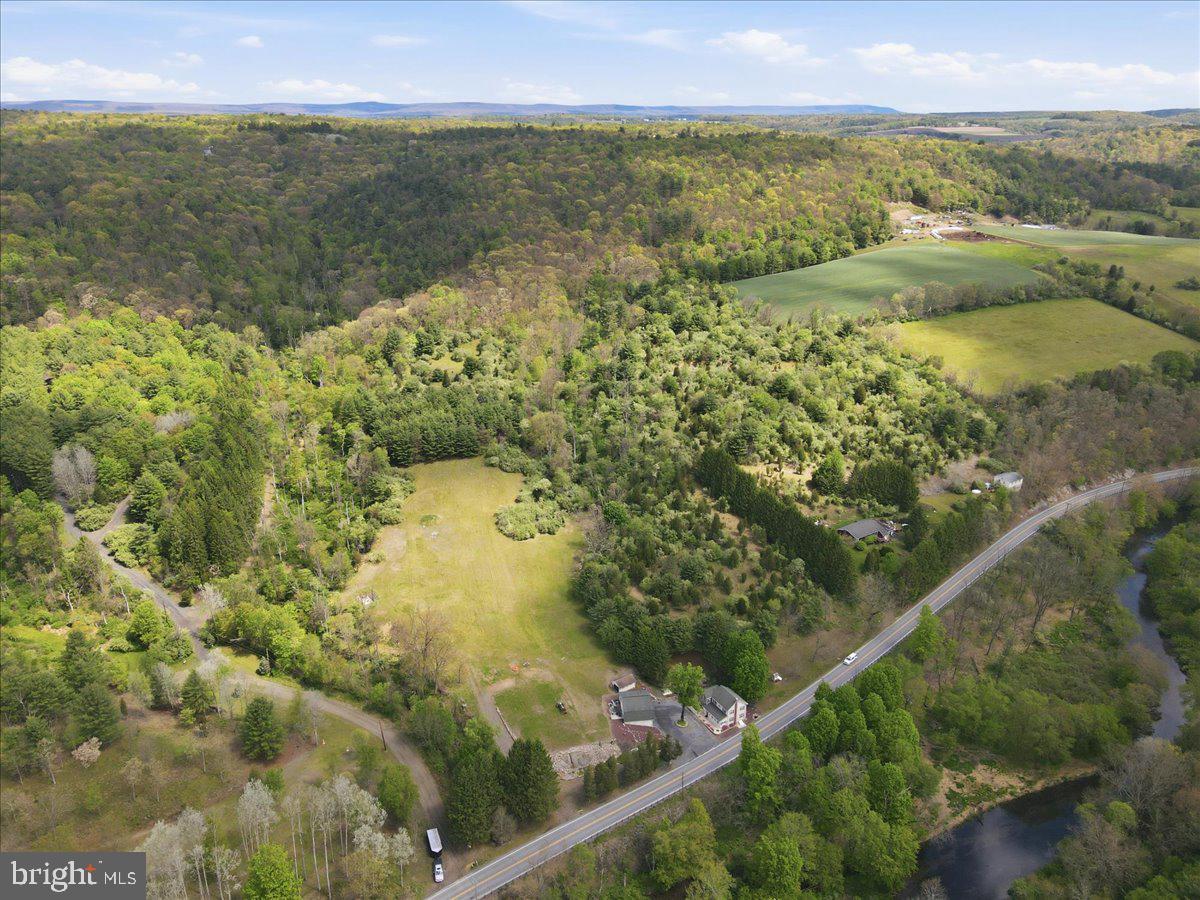 4880 Little Gap Rd Property Photo 97