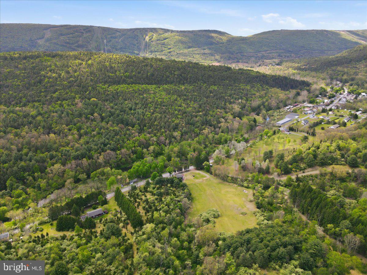 4880 Little Gap Rd Property Photo 99