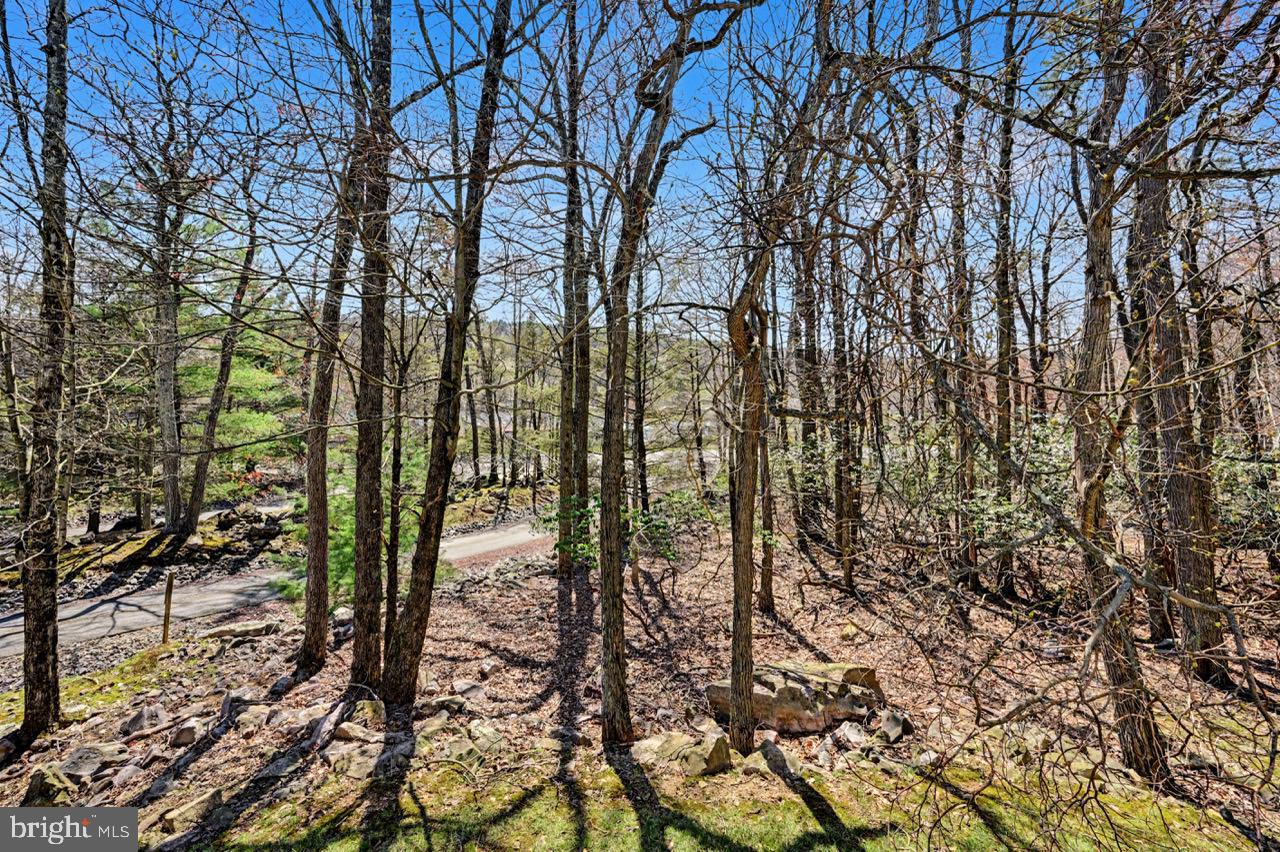 5 Beachwood Ct Property Photo 39