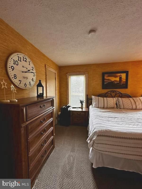 306 Snow Ridge Cir Property Photo 10