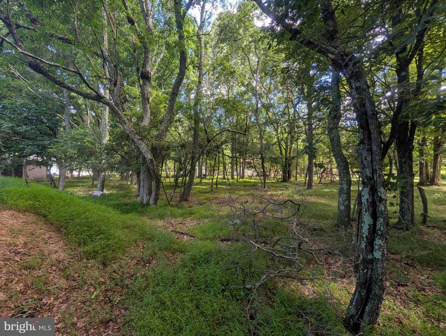 11 Wylie Cir Property Photo 5