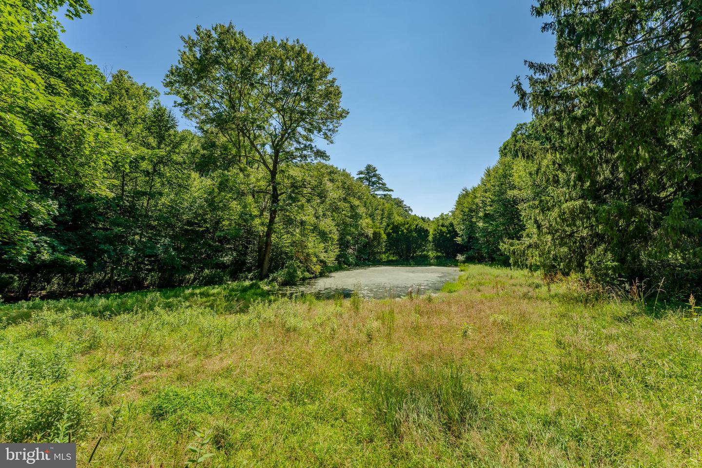 210 Snyders Rd Property Photo 6