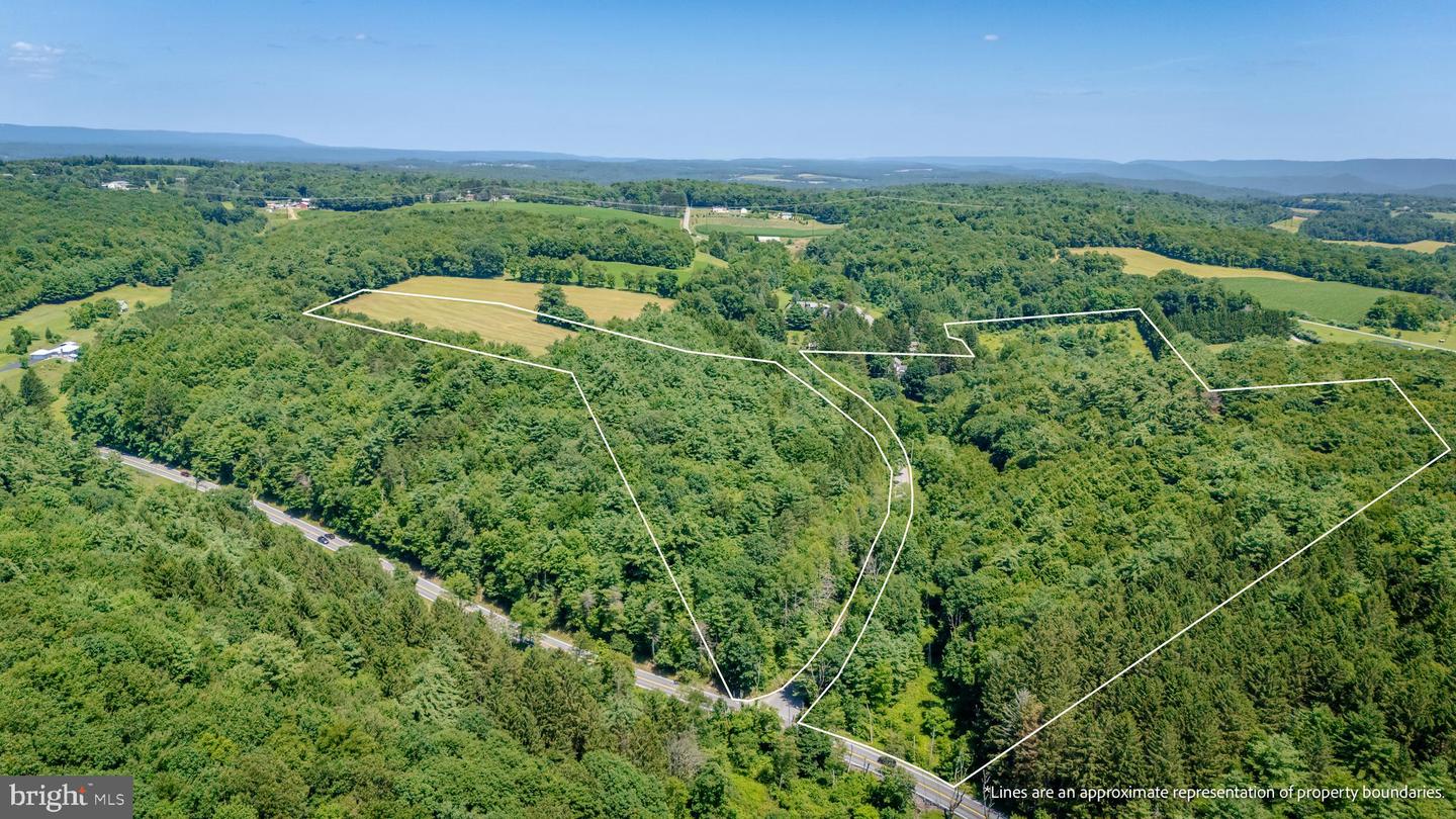 210 Snyders Rd Property Photo 7