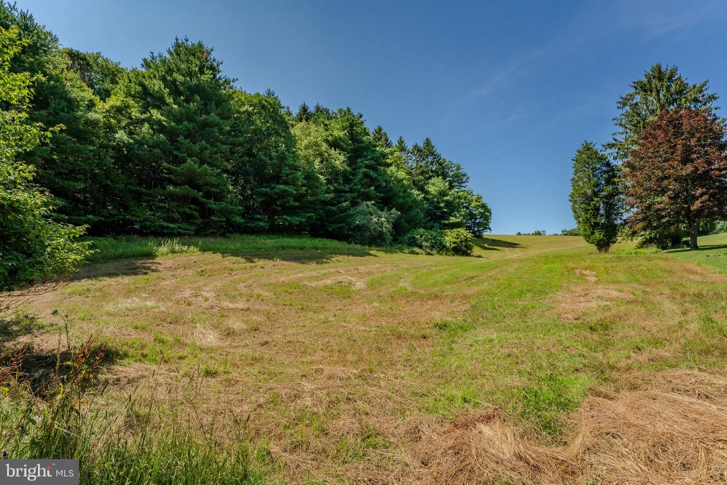 210 Snyders Rd Property Photo 52