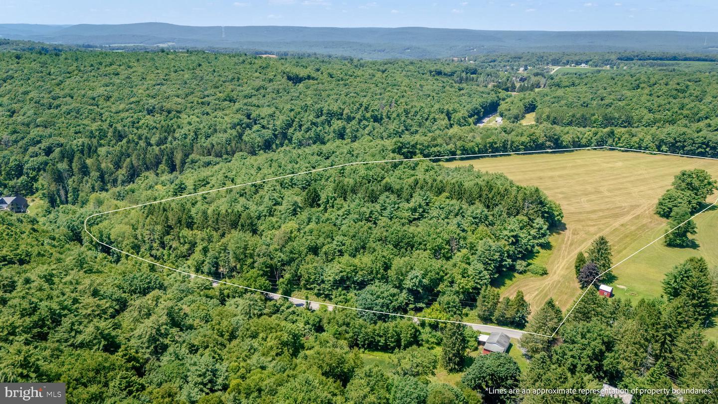 210 Snyders Rd Property Photo 56